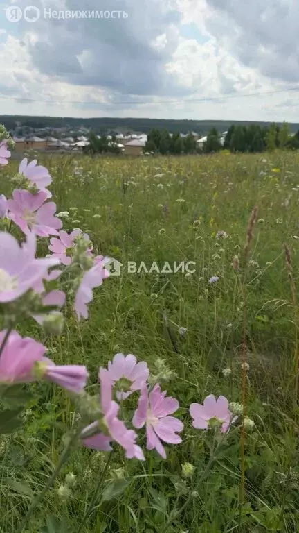 Участок в Казань, Каретная улица (12 м) - Фото 1