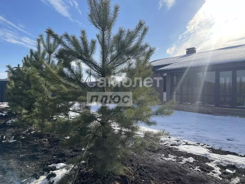 Дом в Омская область, Омский район, с. Надеждино, Березовый Стан ДНП ... - Фото 2
