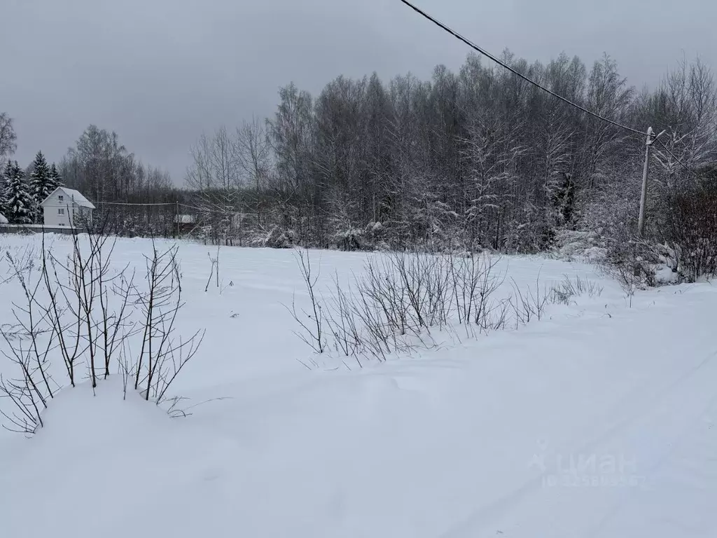 Участок в Владимирская область, Александровский муниципальный округ, ... - Фото 1
