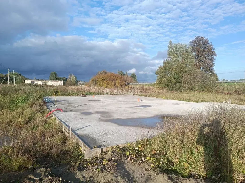 Участок в Калининградская область, Зеленоградский муниципальный округ, ... - Фото 2