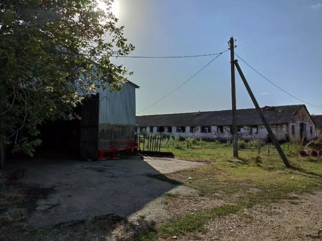 Производственное помещение в Адыгея, Красногвардейский район, ... - Фото 0