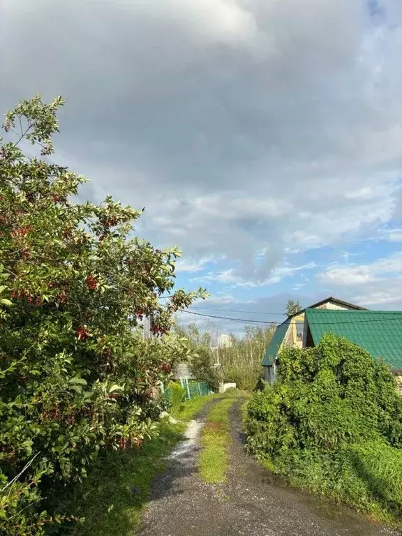 Дом в Свердловская область, Екатеринбург Полиграфист СНТ, 11 (98 м) - Фото 1