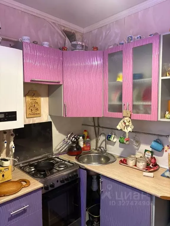 3-к кв. Брянская область, Гордеевский район, Мирнинское с/пос, пос. ... - Фото 2