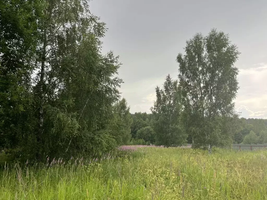 Участок в Московская область, Солнечногорск городской округ, Дачной ... - Фото 1