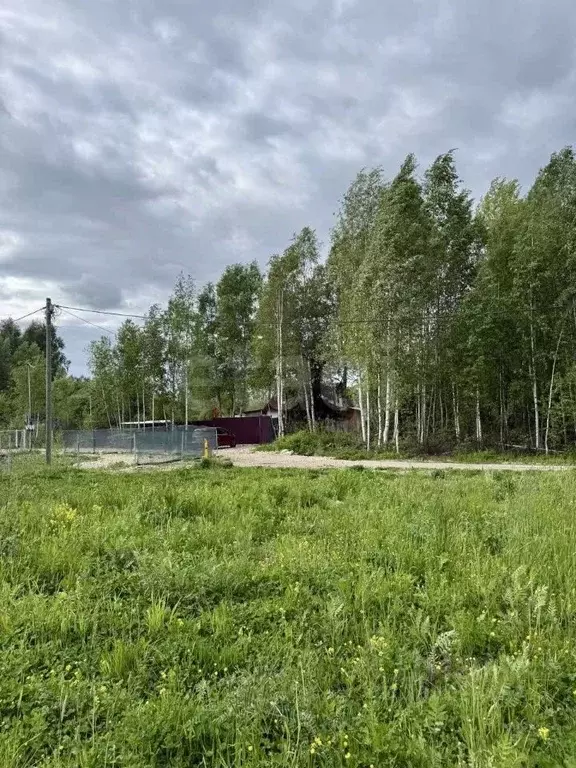 Участок в Ленинградская область, Гатчинский муниципальный округ, д. ... - Фото 1