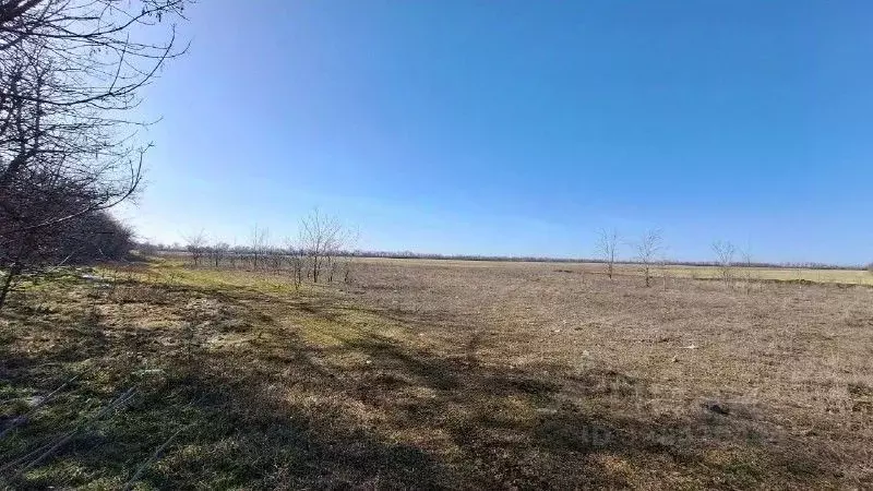 Участок в Ростовская область, Неклиновский район, Новобессергеневское ... - Фото 2