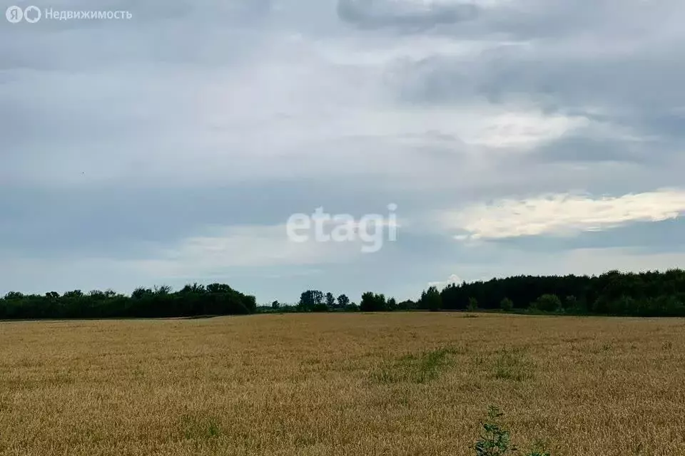 Участок в Нижний Тагил, Дзержинский район, микрорайон Вагонка (16 м) - Фото 1