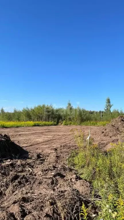 Участок в Нижегородская область, Кстовский муниципальный округ, с. ... - Фото 0