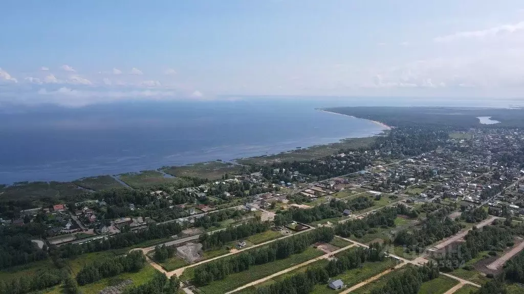 Участок в Ленинградская область, Всеволожский район, Рахьинское ... - Фото 1