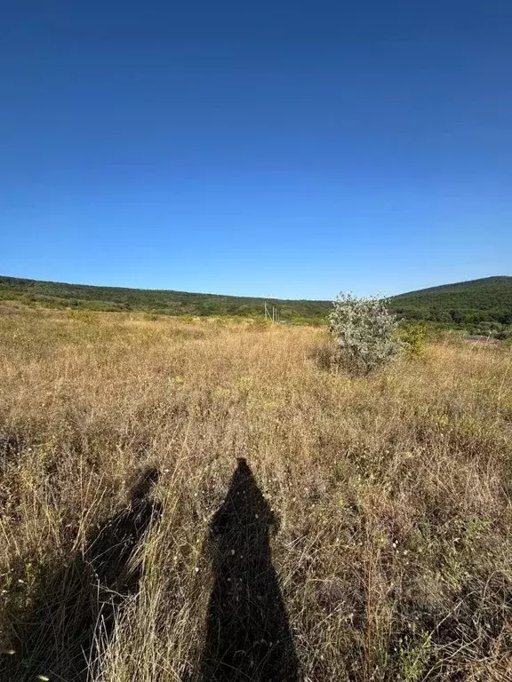 Участок в Ставропольский край, Шпаковский муниципальный округ, ... - Фото 1