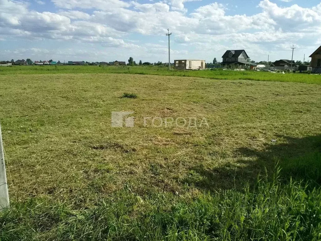 Участок в Новосибирская область, Коченевский район, Рыбачий кп ул. ... - Фото 0