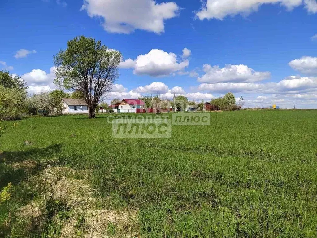 Участок в Калужская область, Перемышльский район, Сильково с/пос, д. ... - Фото 2