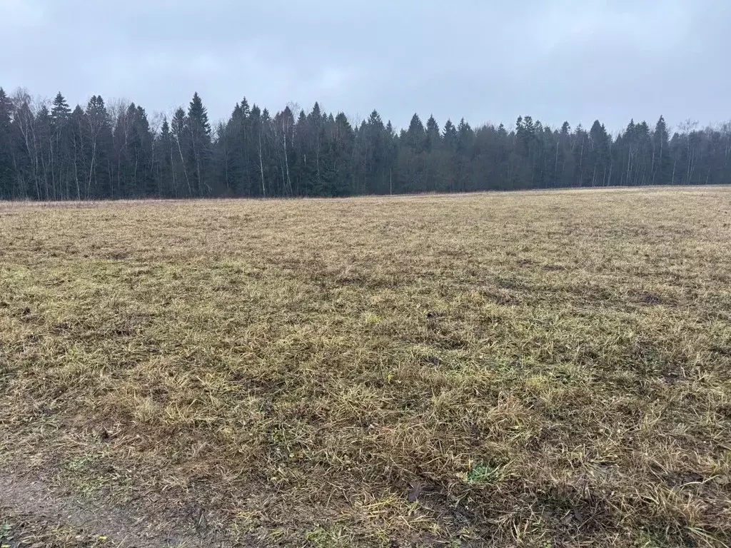 Участок в Московская область, Пушкинский городской округ, д. Жилкино  ... - Фото 0