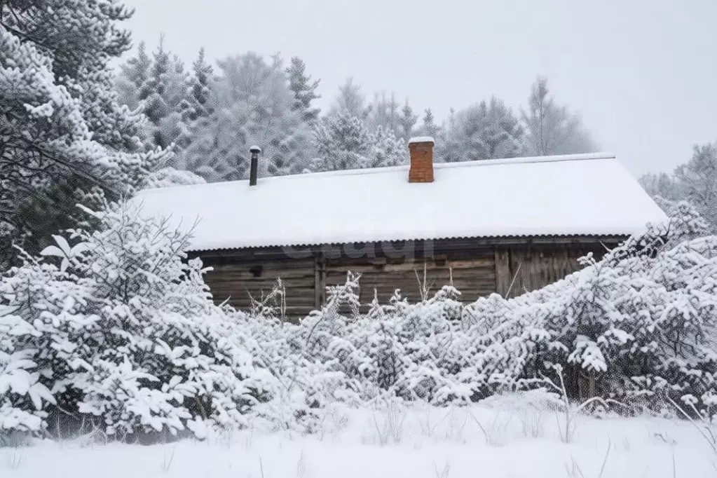 Дом в Тульская область, Тула городской округ, д. Варфоломеево  (49 м) - Фото 1