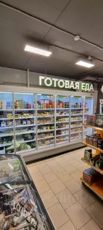 Торговая площадь в Самарская область, Самара ул. Куйбышева, 69 (700 м) - Фото 2