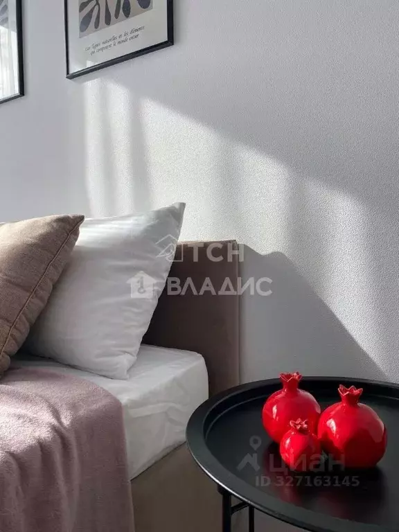 Студия Московская область, Мытищи ул. Стрельбище Динамо, 10 (26.0 м) - Фото 1