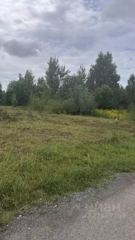 Участок в Нижегородская область, Нижний Новгород Покровское ТИЗ, 1-й ... - Фото 1