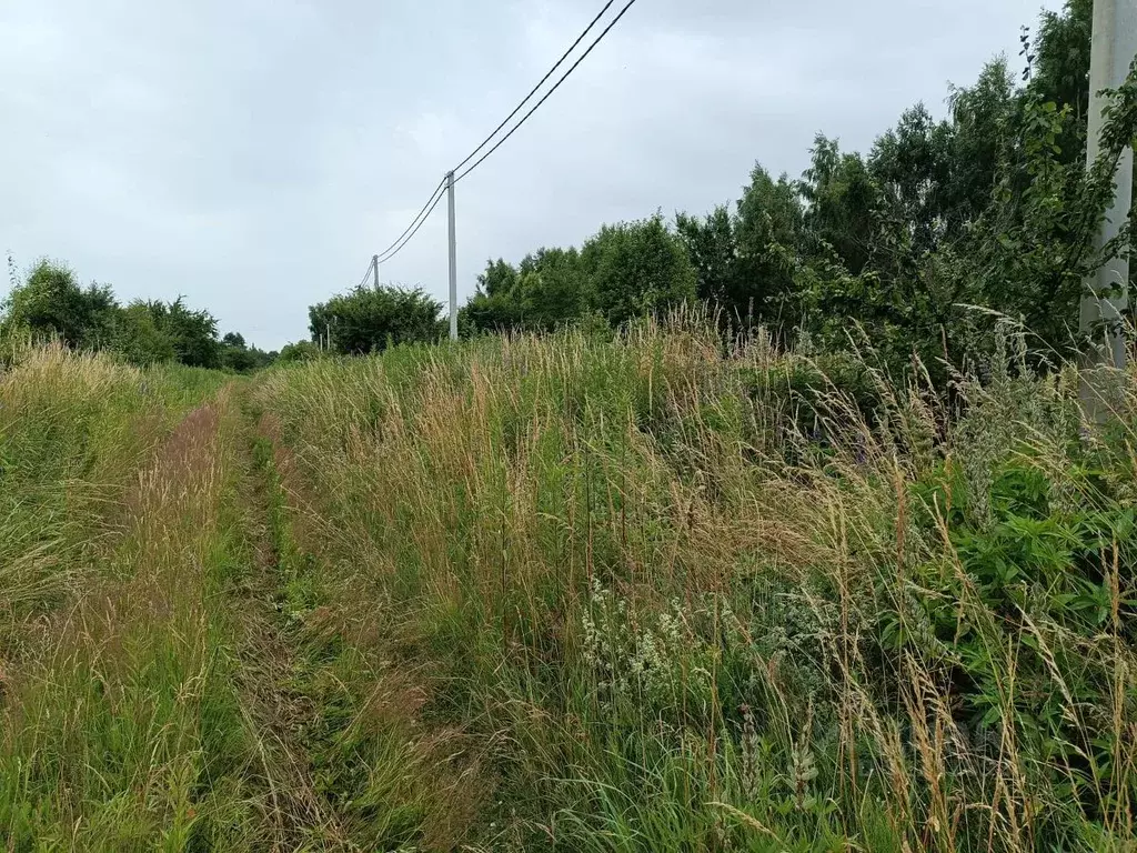 Участок в Калининградская область, Ладушкин Береговая ул., 20 (600.0 ... - Фото 2