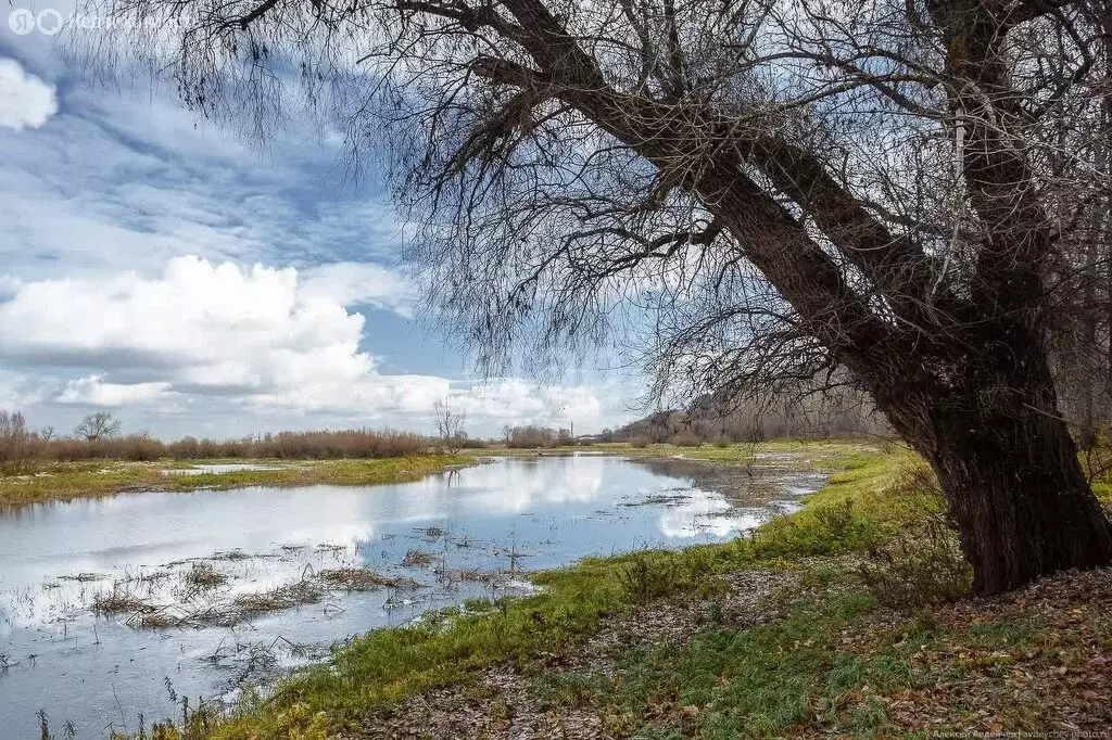 Участок в село Старосемейкино, Кооперативная улица (10 м) - Фото 0