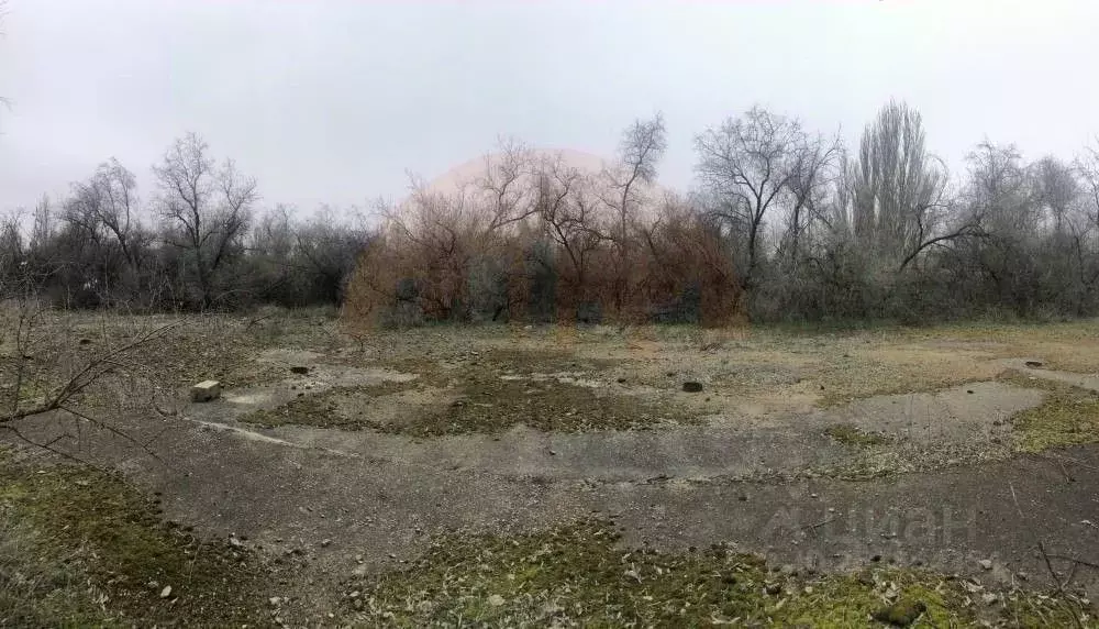 Участок в Крым, Саки ул. Морская (8.0 сот.) - Фото 0
