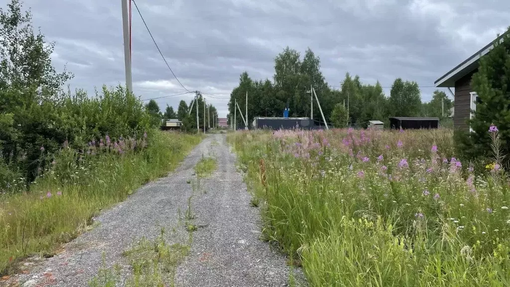 Участок в Тюменская область, Нижнетавдинский район, Озера Сундукуль ... - Фото 0
