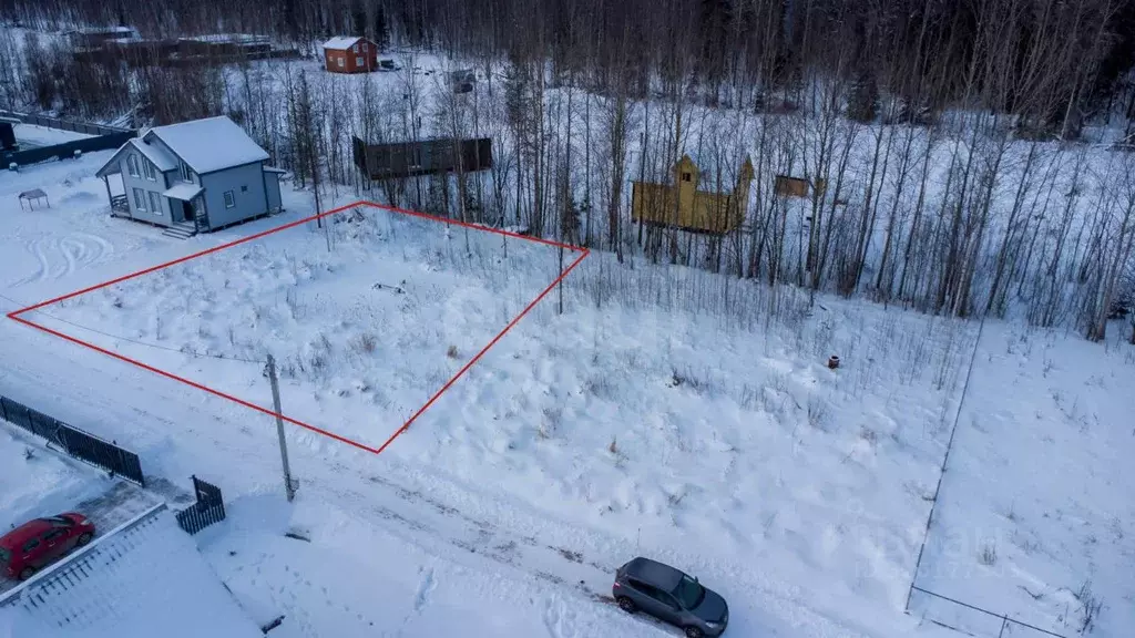 Участок в Ленинградская область, Всеволожский район, Рахьинское ... - Фото 1