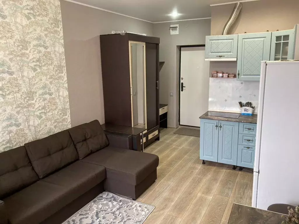 Студия Краснодарский край, Сочи Адлер жилрайон, ул. Троицкая, 31/2 ... - Фото 2