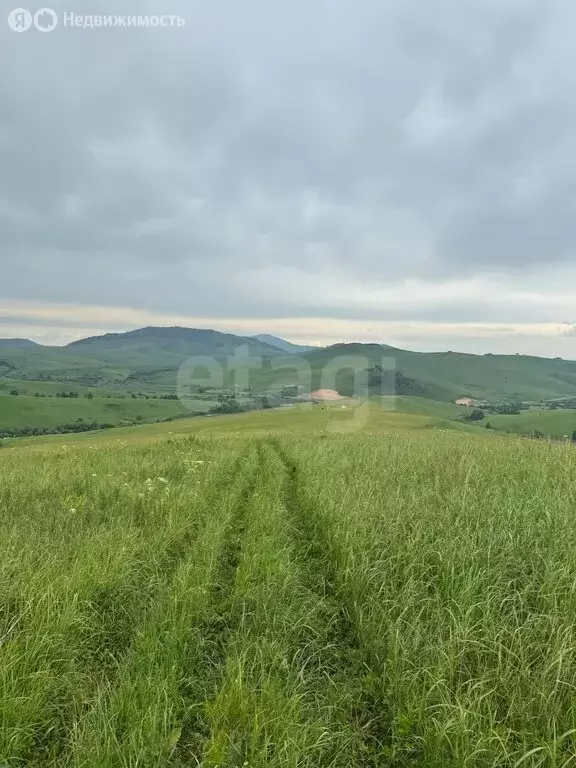 Участок в Алтайский район, ДНТ Жемчужина Алтая (13 м) - Фото 2