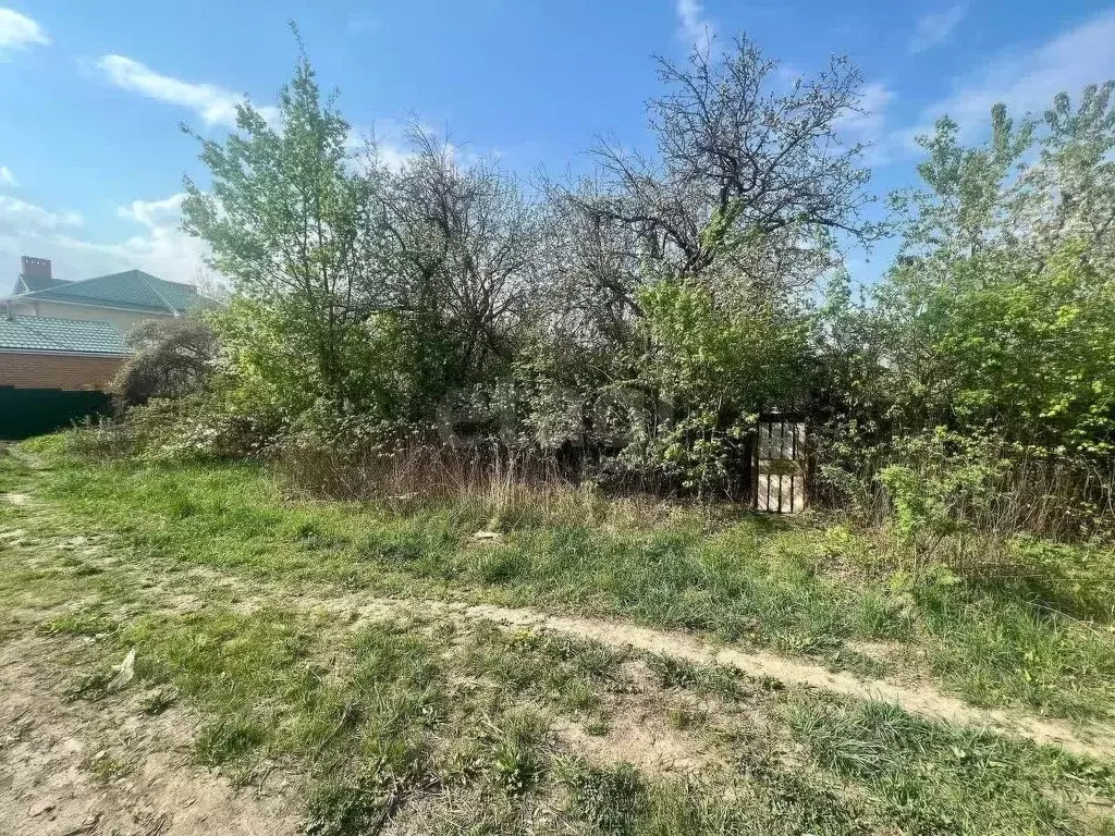 Участок в Белгородская область, Губкин Мичуринский мкр,  (6.25 сот.) - Фото 0