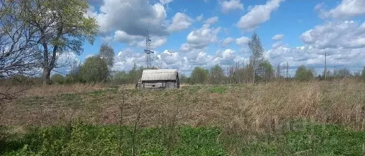 Участок в Псковская область, Псковский муниципальный округ, д. Сабижи  ... - Фото 1