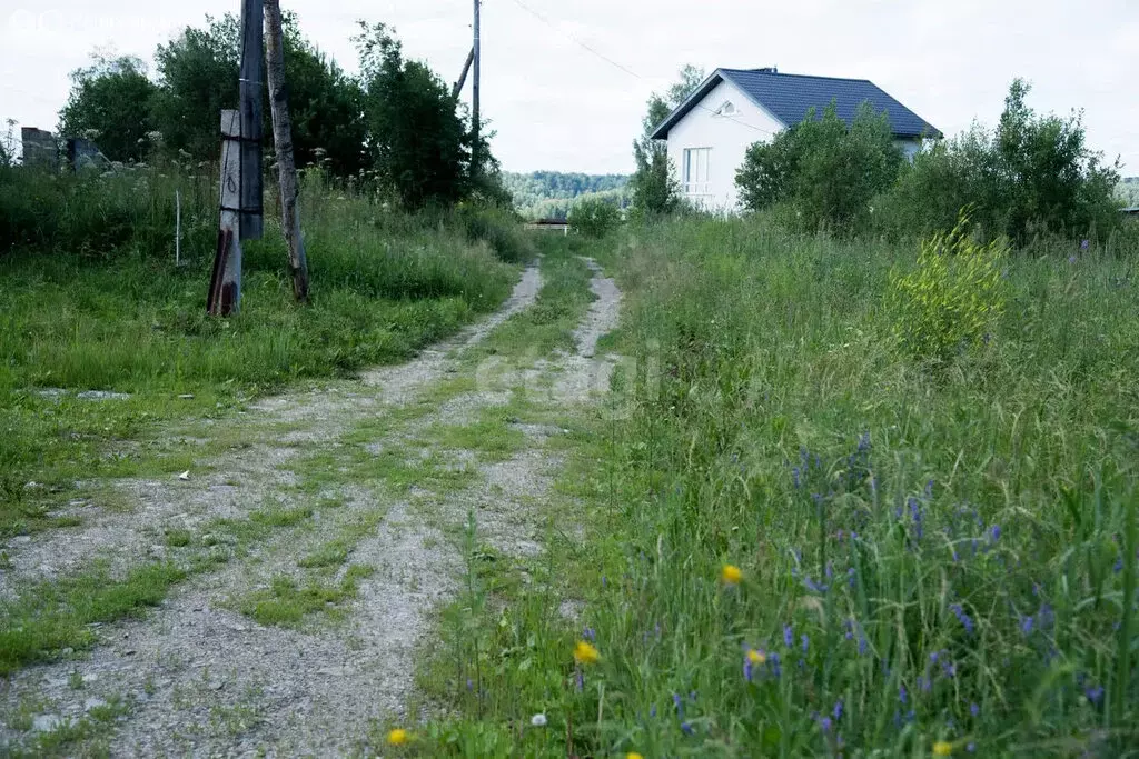 Участок в Искитимский район, Шибковский сельсовет (20 м) - Фото 1