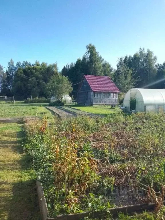 Дом в Тверская область, Кашинский городской округ, д. Гапшино  (86 м) - Фото 1