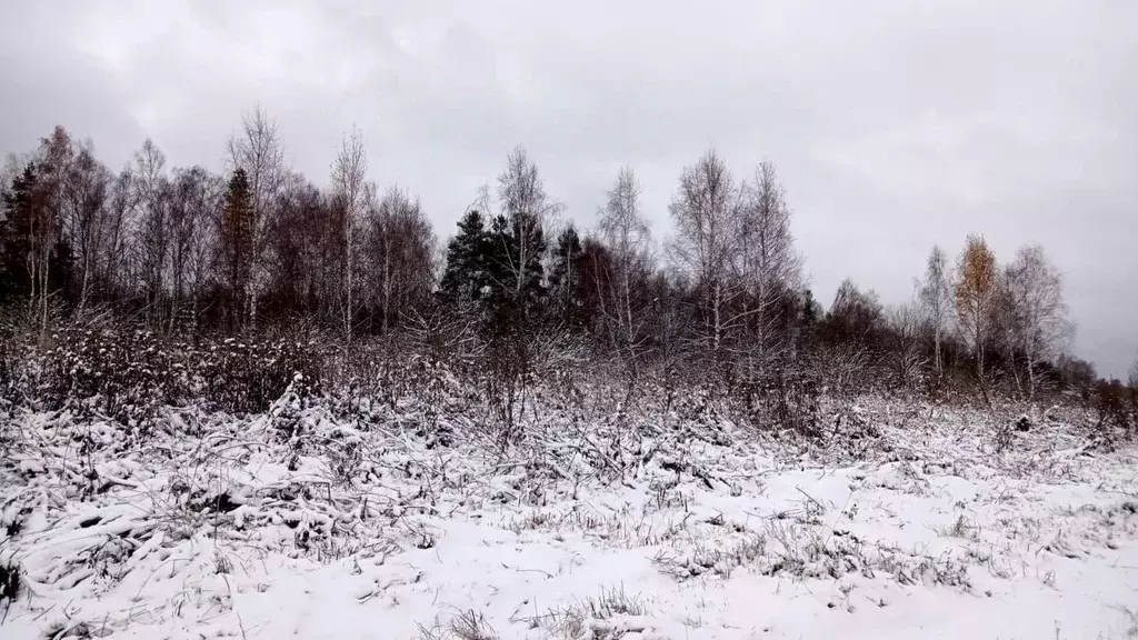 Участок в Московская область, Егорьевск муниципальный округ, д. Панино ... - Фото 0