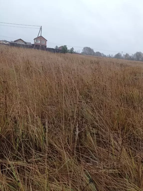 Участок в Московская область, Орехово-Зуевский городской округ, д. ... - Фото 1
