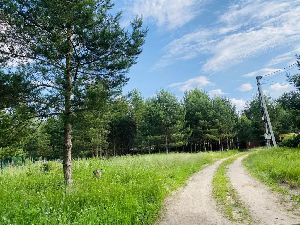 Участок в Ярославская область, Переславль-Залесский муниципальный ... - Фото 1