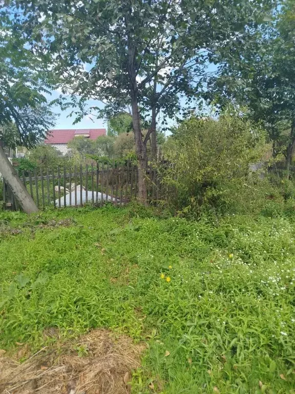 Участок в Хабаровский край, Хабаровский район, Корфовский рп ... - Фото 1