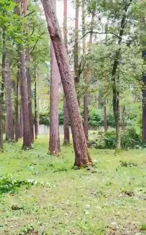 Участок в Московская область, Одинцовский городской округ, Серебряные ... - Фото 2