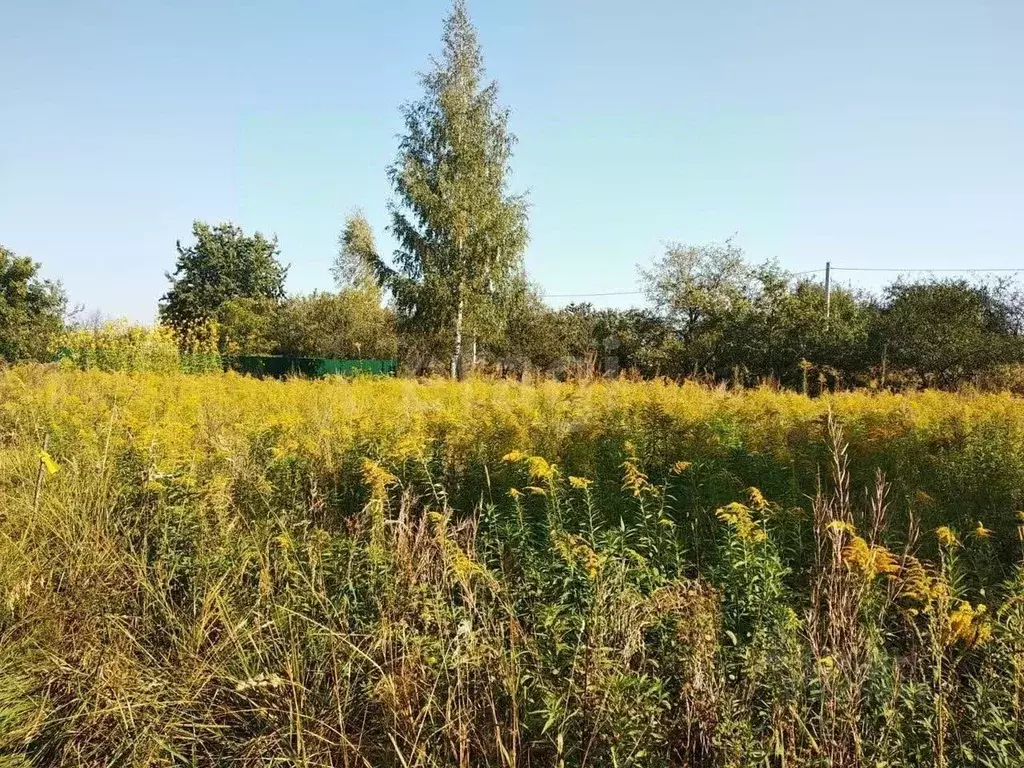 Участок в Брянская область, Брянский район, Снежское с/пос, с. ... - Фото 1