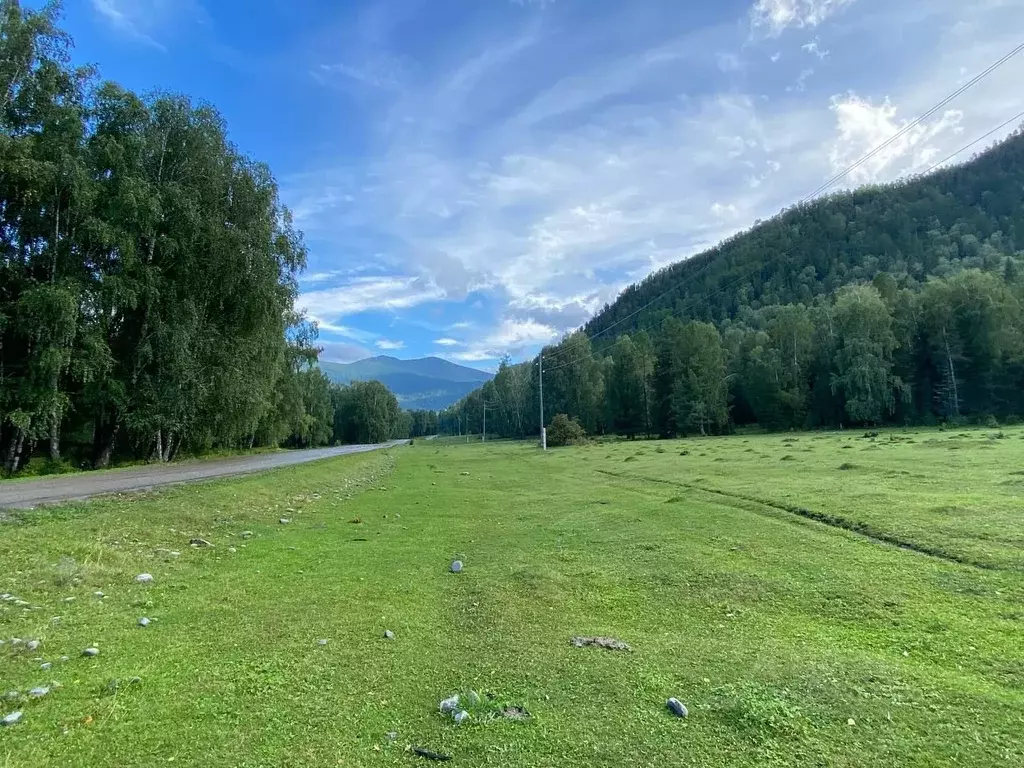 Участок в Алтай, Усть-Коксинский район, с. Мульта  (1.57 сот.) - Фото 1