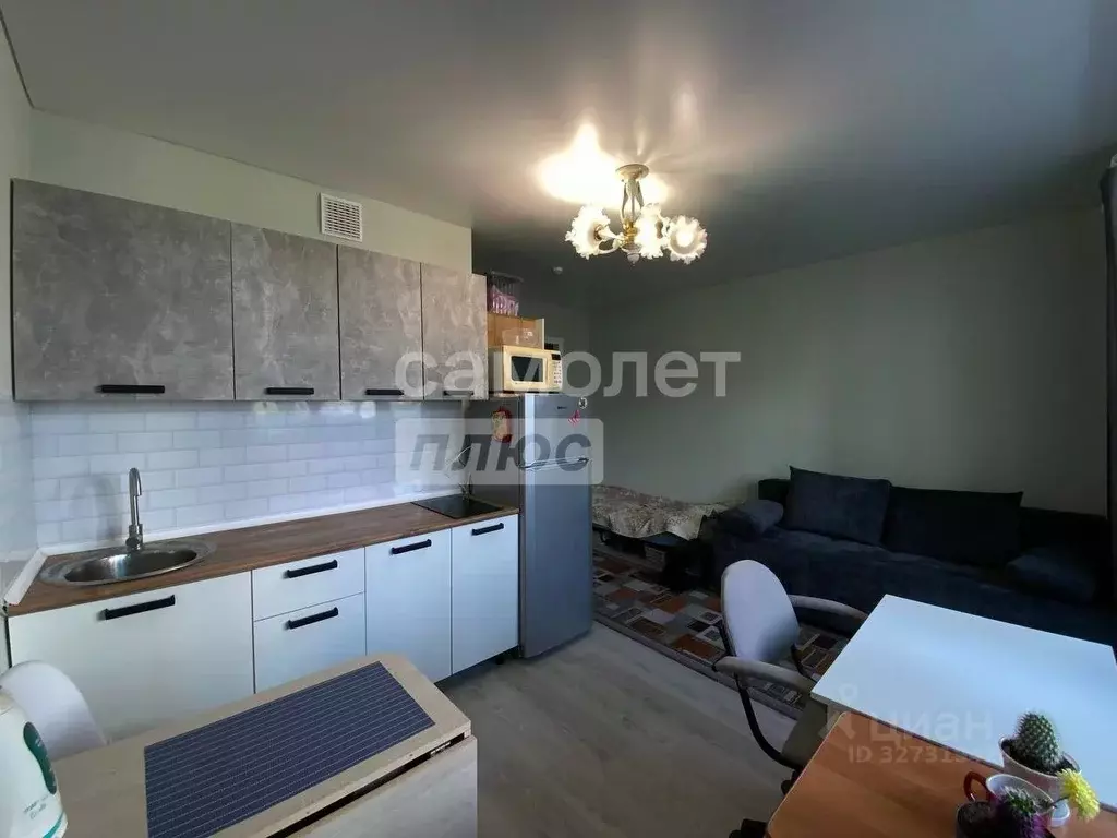 Студия Пермский край, д. Кондратово ул. Г.Н. Нифантова, 3к1 (23.8 м) - Фото 2