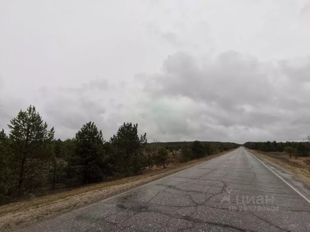 Участок в Мордовия, Темниковский район, Пурдошанское с/пос, с. ... - Фото 2