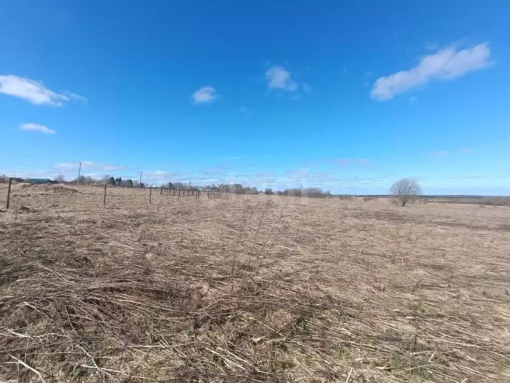 Участок в Вологодская область, д. Сусолово  (12.19 сот.) - Фото 2