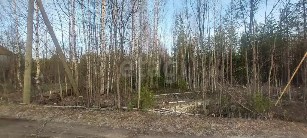 Участок в Коми, Корткеросский район, Додзь муниципальное образование, ... - Фото 1