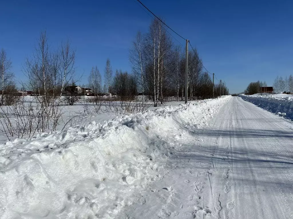 Участок в Владимирская область, Александровский район, Андреевское ... - Фото 1