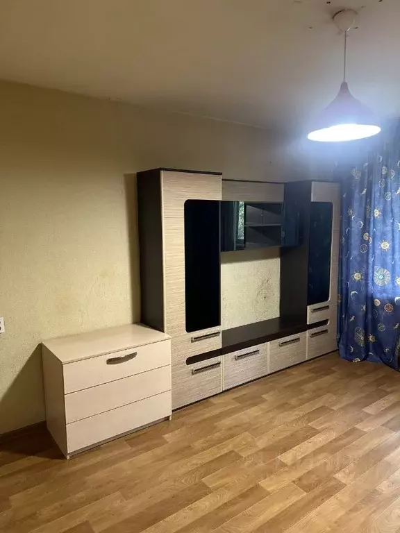 1-к кв. Томская область, Томск ул. Ференца Мюнниха, 30 (30.0 м) - Фото 2