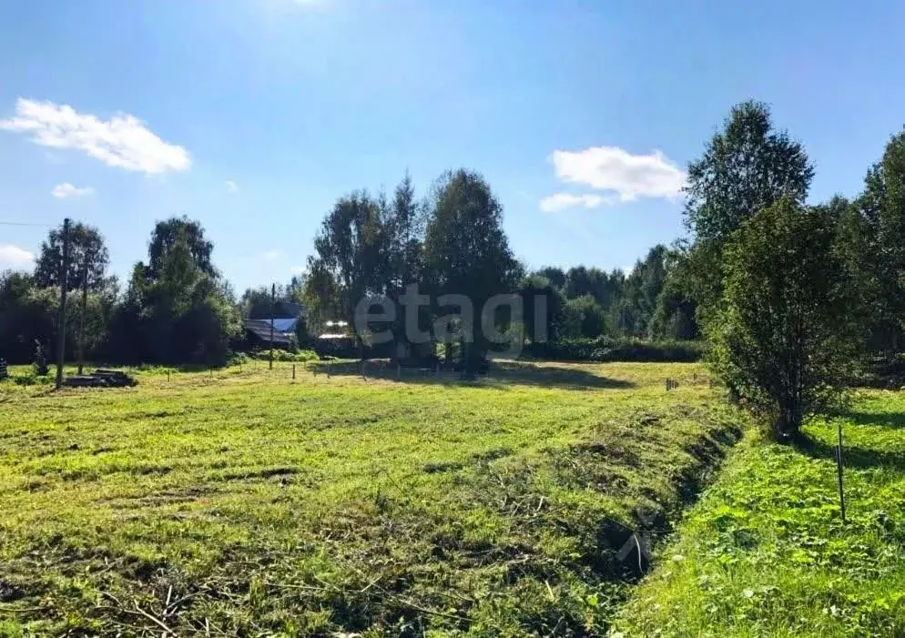 Участок в Коми, Сыктывдинский район, Ыб муниципальное образование, с. ... - Фото 0