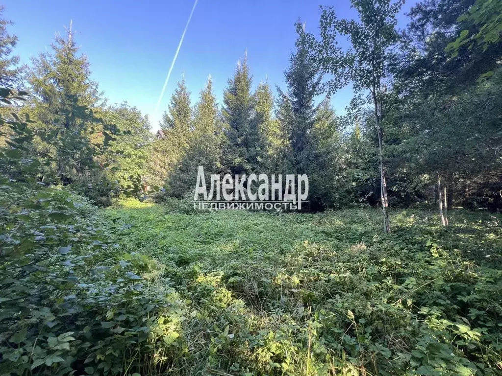 Участок в Ленинградская область, Всеволожский район, Колтушское ... - Фото 1