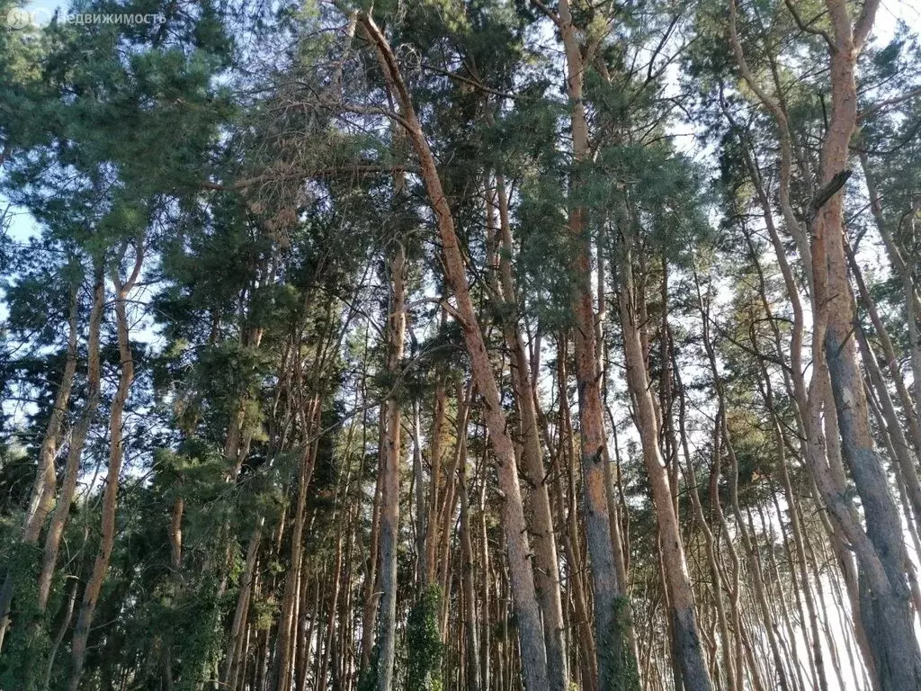 Дом в Курск, СТ Восход-2, 123 (65 м) - Фото 0