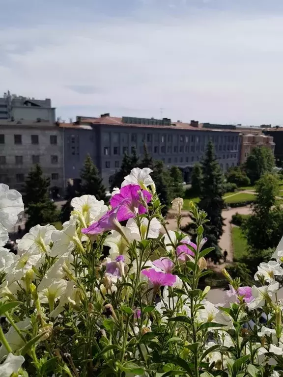 2-к кв. Санкт-Петербург наб. Реки Мойки, 40 (50.0 м) - Фото 0
