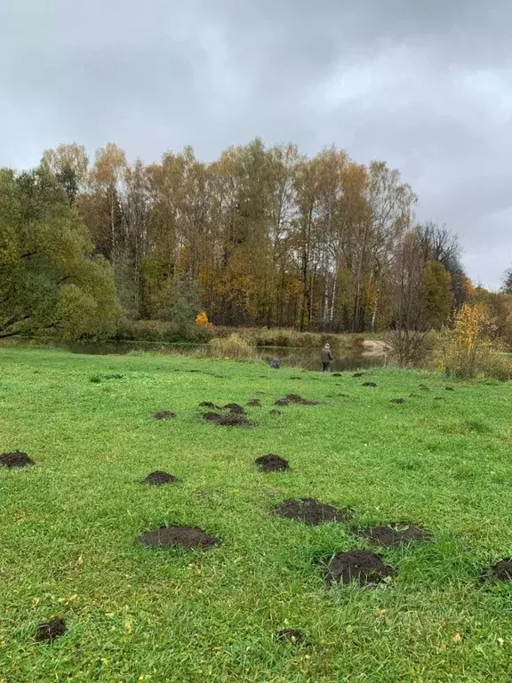 Участок в Московская область, Волоколамский муниципальный округ, д. ... - Фото 0